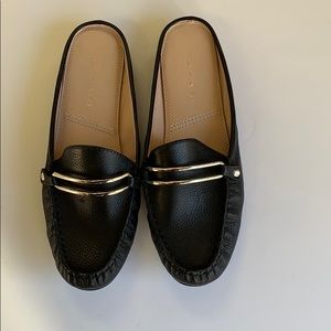 Tahari mules